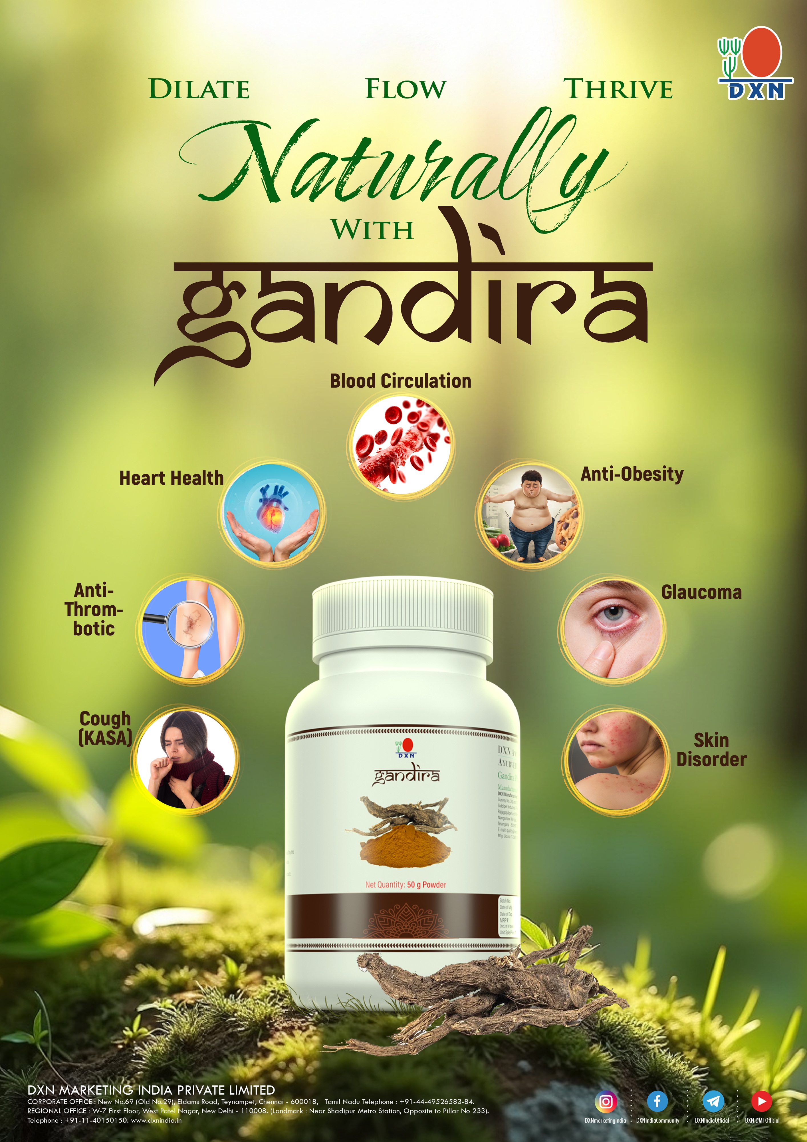 DXN Gandira 50g