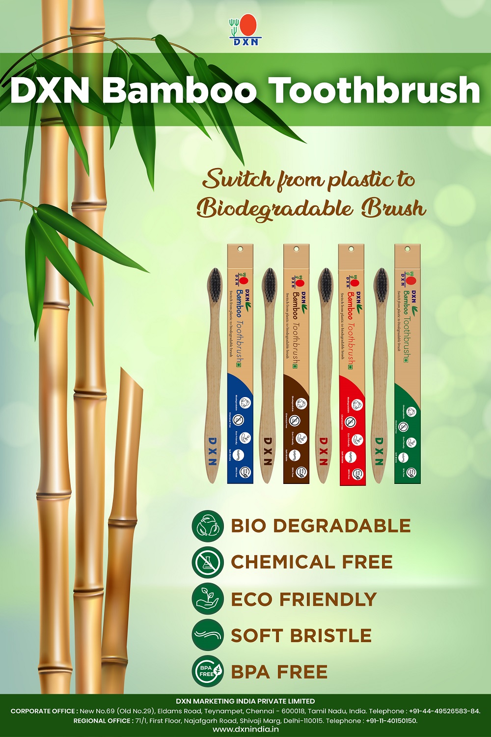 DXN Bamboo Tooth Brush