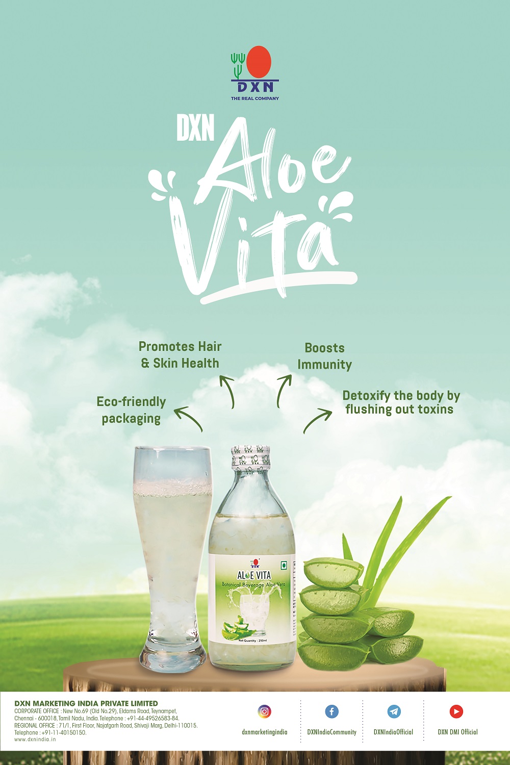 DXN Aloe Vita 250ml